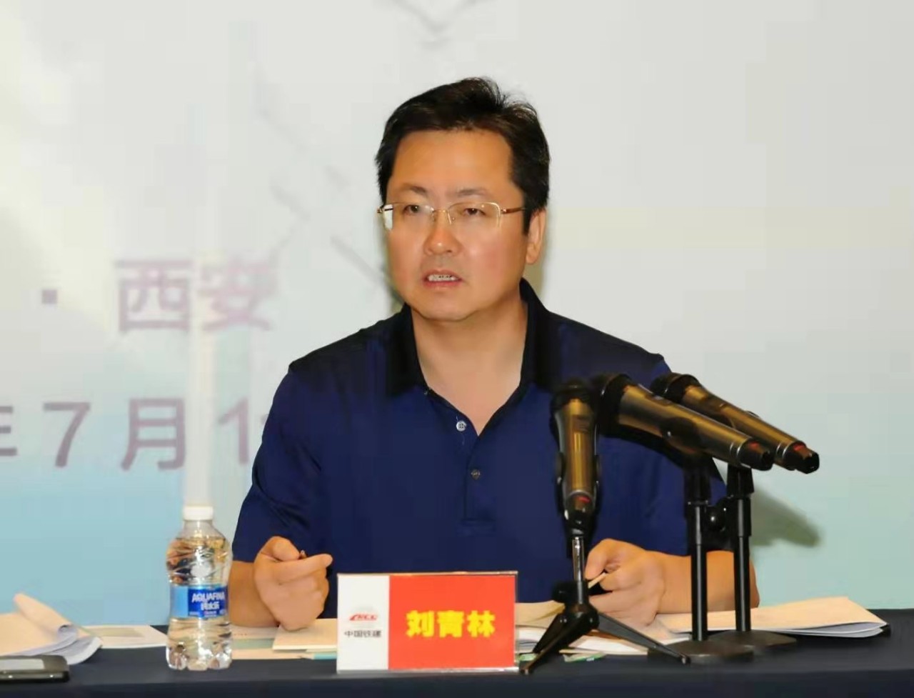 刘青林讲话